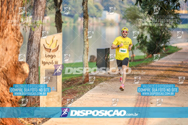 Eco Corrida 90k Londrina