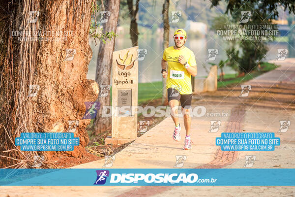 Eco Corrida 90k Londrina