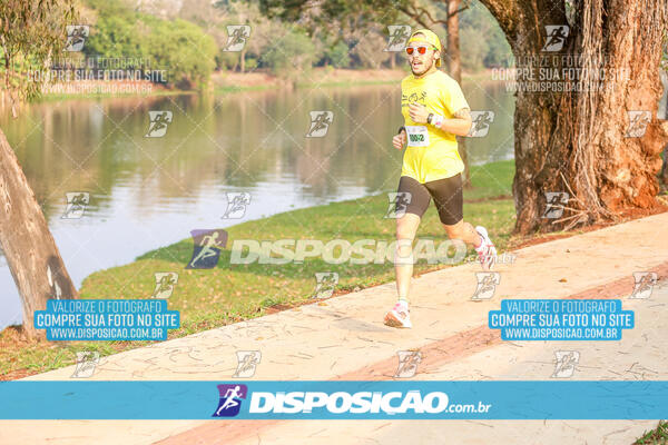 Eco Corrida 90k Londrina