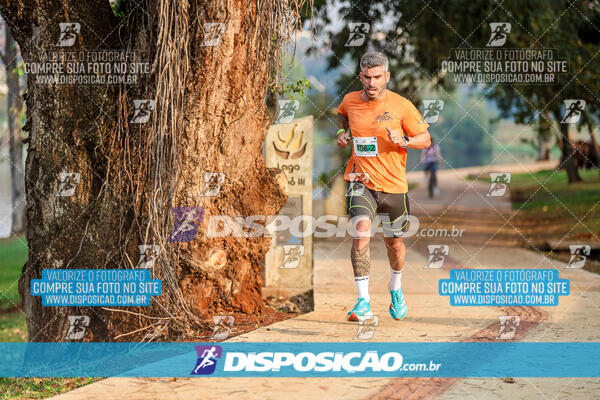 Eco Corrida 90k Londrina