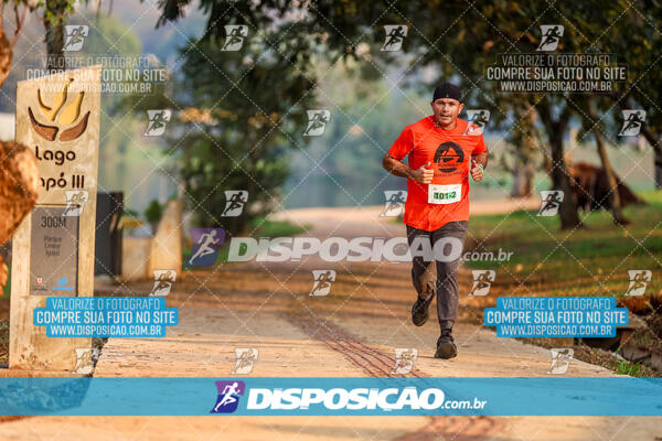 Eco Corrida 90k Londrina