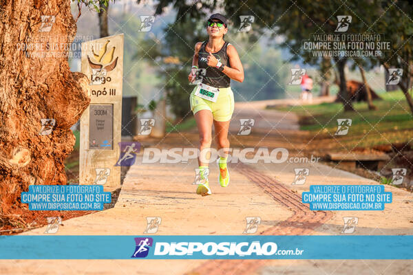 Eco Corrida 90k Londrina