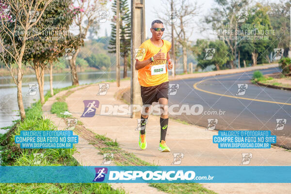 Eco Corrida 90k Londrina