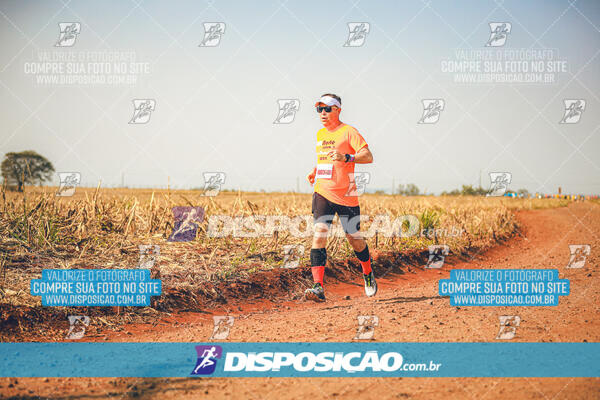 Eco Corrida 90k Londrina