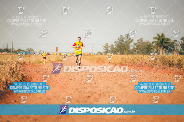 Eco Corrida 90k Londrina