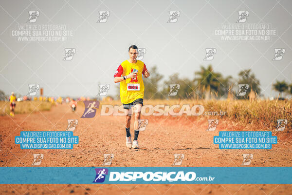 Eco Corrida 90k Londrina