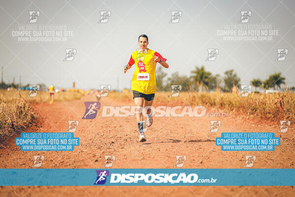 Eco Corrida 90k Londrina