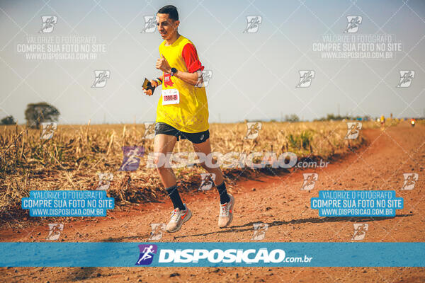 Eco Corrida 90k Londrina