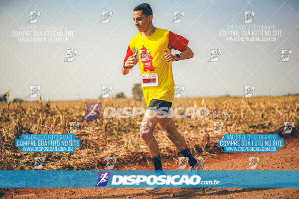 Eco Corrida 90k Londrina