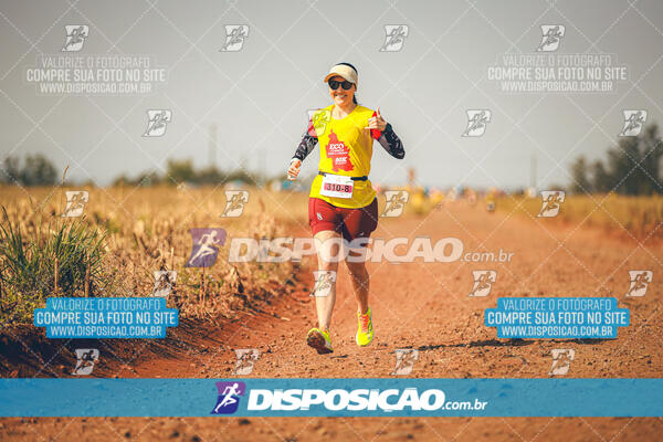 Eco Corrida 90k Londrina