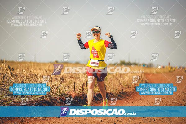 Eco Corrida 90k Londrina