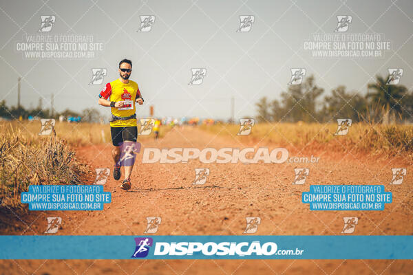 Eco Corrida 90k Londrina