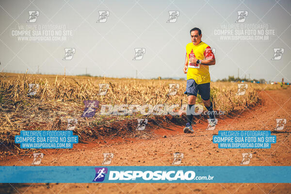 Eco Corrida 90k Londrina