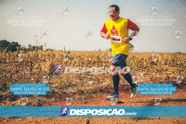 Eco Corrida 90k Londrina