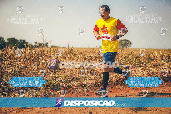 Eco Corrida 90k Londrina