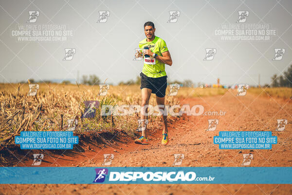 Eco Corrida 90k Londrina