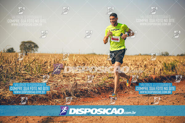 Eco Corrida 90k Londrina