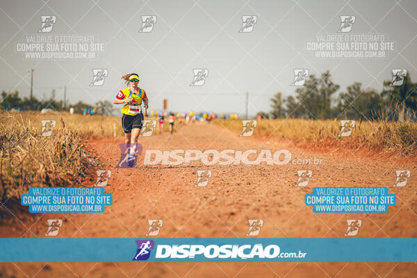 Eco Corrida 90k Londrina