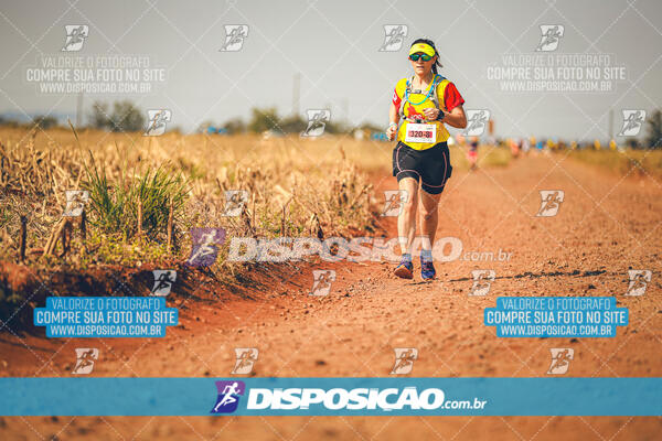 Eco Corrida 90k Londrina