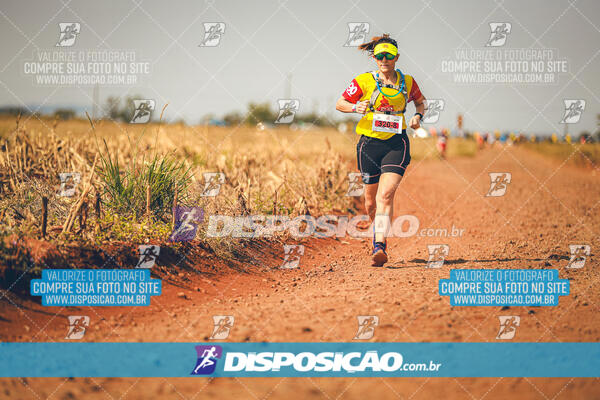 Eco Corrida 90k Londrina