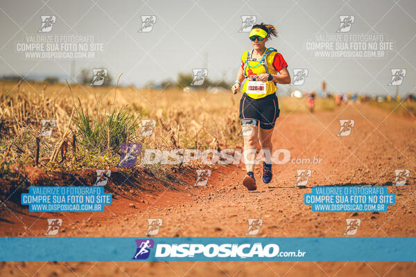 Eco Corrida 90k Londrina