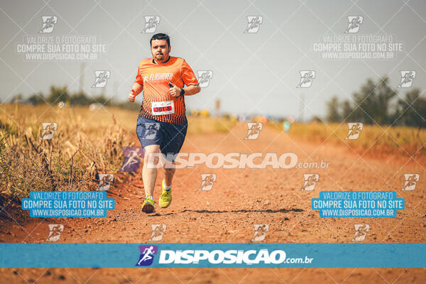 Eco Corrida 90k Londrina