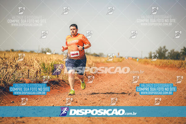 Eco Corrida 90k Londrina