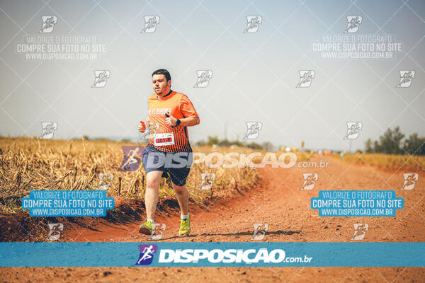 Eco Corrida 90k Londrina