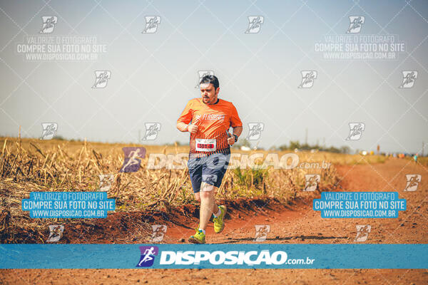 Eco Corrida 90k Londrina