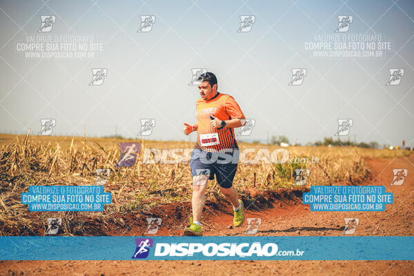 Eco Corrida 90k Londrina