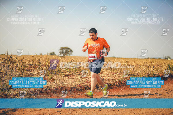 Eco Corrida 90k Londrina