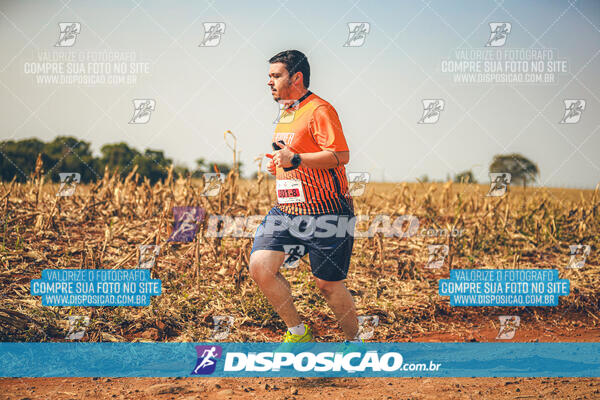 Eco Corrida 90k Londrina