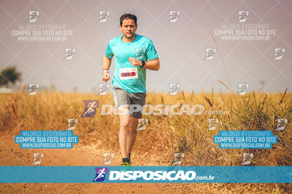 Eco Corrida 90k Londrina