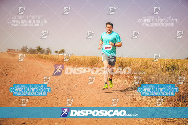 Eco Corrida 90k Londrina