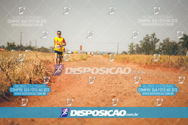 Eco Corrida 90k Londrina