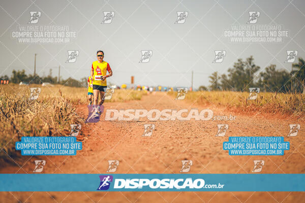 Eco Corrida 90k Londrina