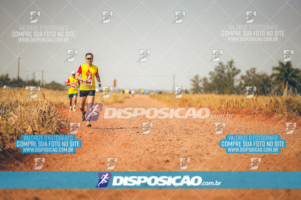 Eco Corrida 90k Londrina