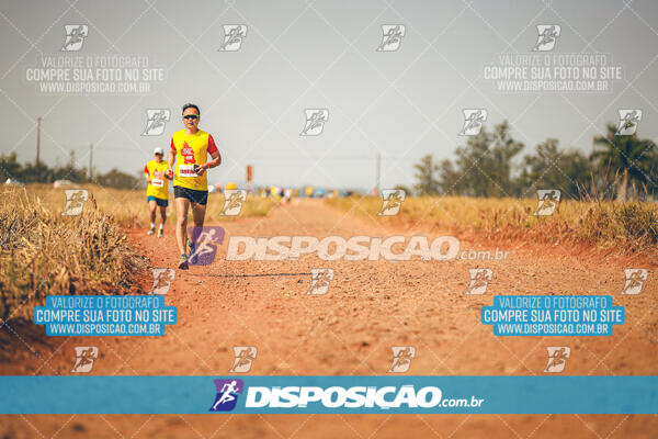 Eco Corrida 90k Londrina