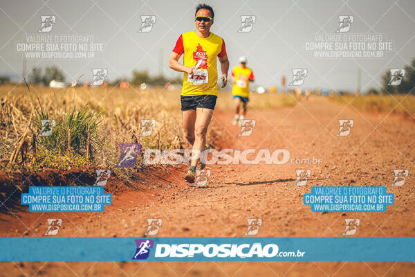 Eco Corrida 90k Londrina