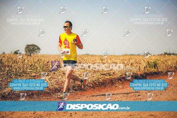 Eco Corrida 90k Londrina