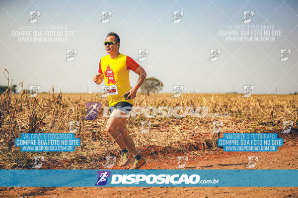 Eco Corrida 90k Londrina