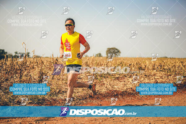 Eco Corrida 90k Londrina