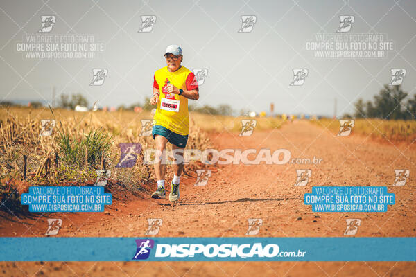 Eco Corrida 90k Londrina