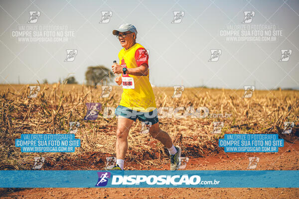 Eco Corrida 90k Londrina