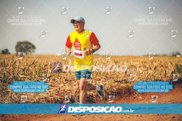 Eco Corrida 90k Londrina