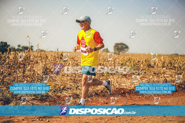 Eco Corrida 90k Londrina