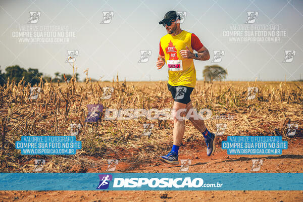 Eco Corrida 90k Londrina