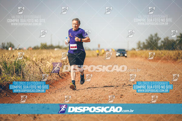 Eco Corrida 90k Londrina