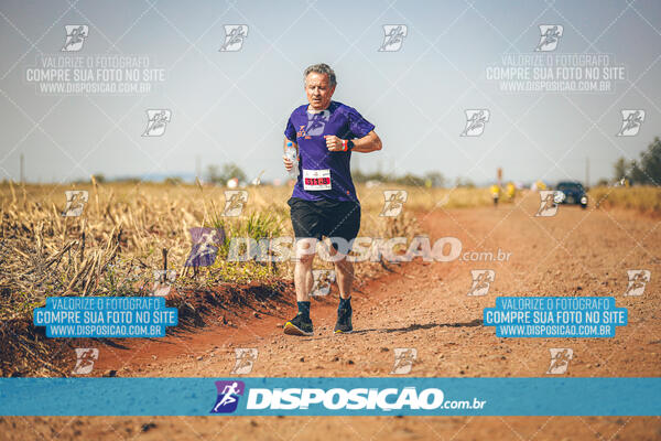 Eco Corrida 90k Londrina