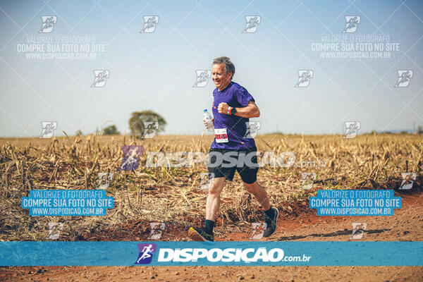 Eco Corrida 90k Londrina